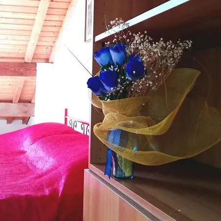 Hébergement de vacances Casa Bellavista *